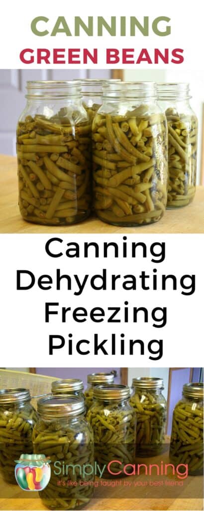 preserving green beans pin