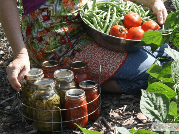 Sharon in the garden holding a bowl of fresh tomatoes and green beans with a collection of canned green beans and tomatoes to her side.