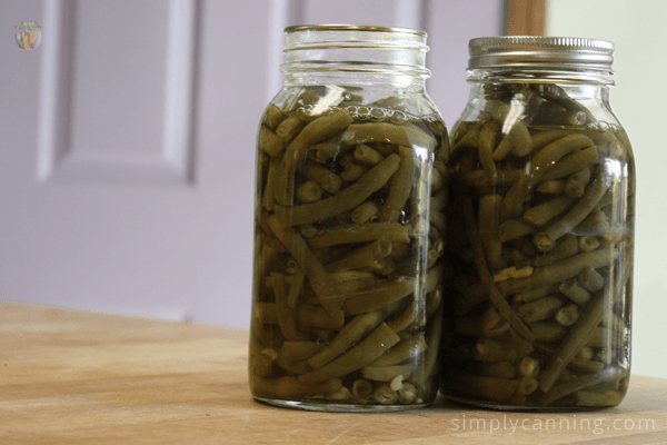 Two jars of home canned green beans cooling on the counter.