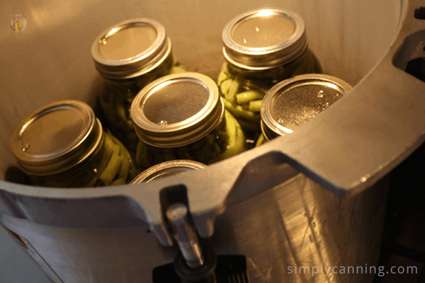 Jars filled with green beans in the pressure canner.