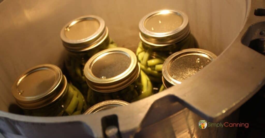 Jars of green beans in the pressure canner.