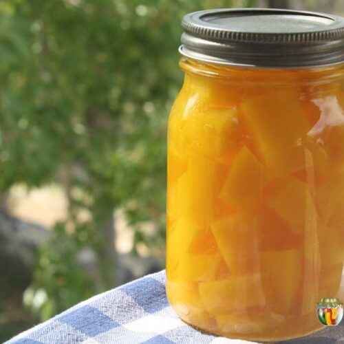 A pint jar filled with canned pumpkin cubes.