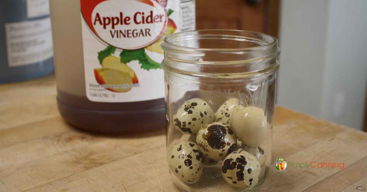 A jar of unpeeled cooked quail eggs with a bottle of apple cider vinegar behind it.