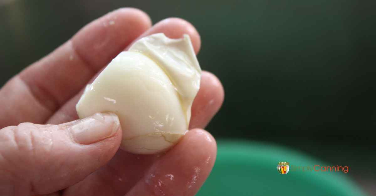 Peeling off the membrane from a quail egg.