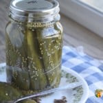 A pickle spear on a plate next to a pint jar of pickles.