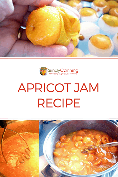 Image with peeled apricot, and pot of apricot jam cooking, links to Pinterest.