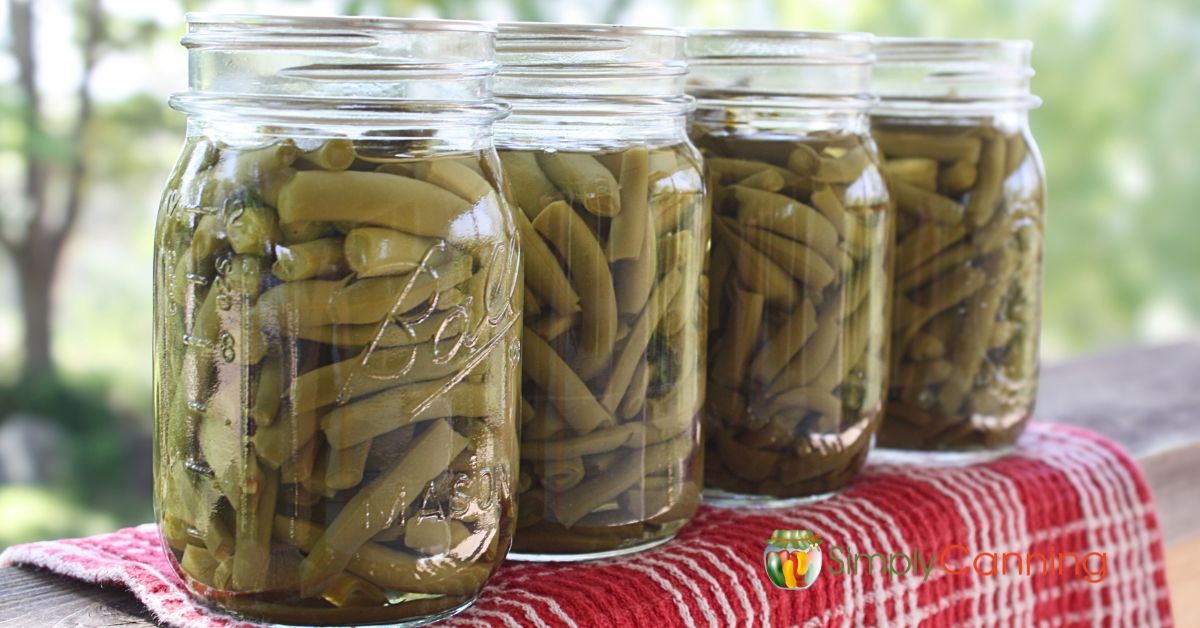 Row of home canned green beans in pint jars.