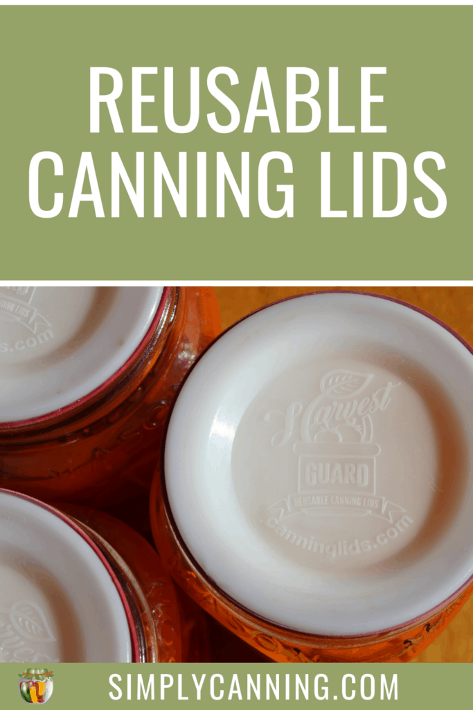 Reusable Canning Lids