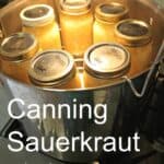 Jars of sauerkraut in a canner.