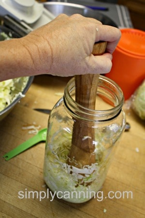 Pounding shredded cabbage into a jar using a wooden pounder.