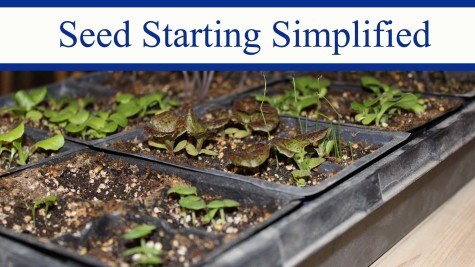 Seed Starting Simplified.