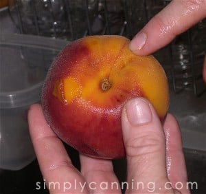 Finger pointing to the seam where you will slice the fruit open.