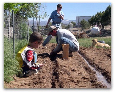 The whole family working together in the garden.