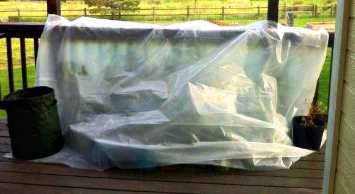starting tomatoes hardening sheltered