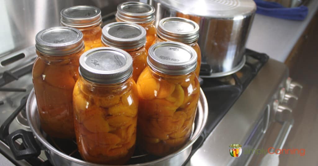 Seven quart jars of peaches in the steam canner base.