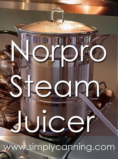 steam juicer-1