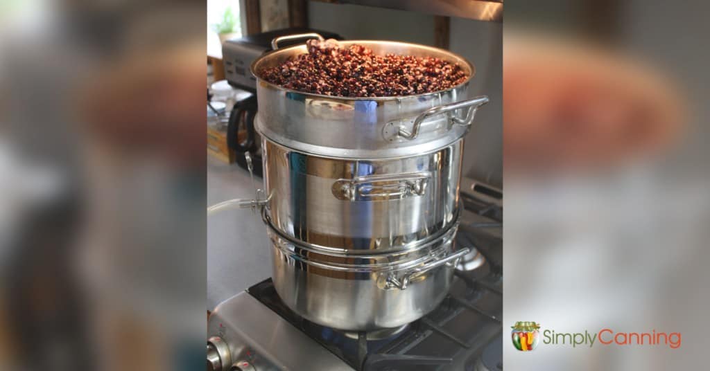 Fruit cooking in the top part of the steam juicer.