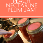 Peach Nectarine Plum Jam