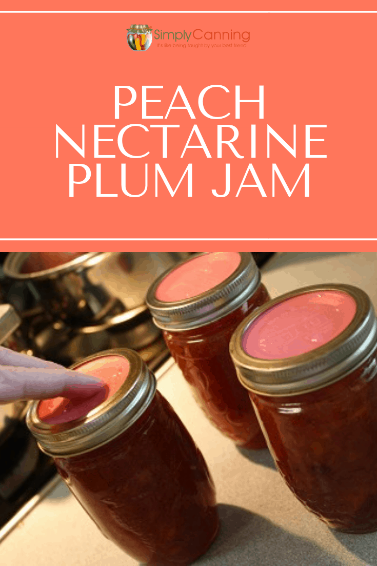 Peach Nectarine Plum Jam