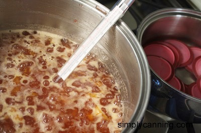 A large pot of jam boiling with little bubbles bursting through the surface of the mixture.