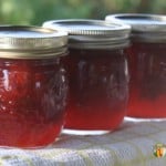 Three small jars of red strawberry jam.