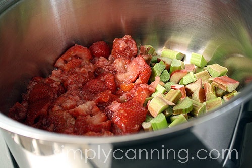 Fresh strawberry and rhubarb in a pot.