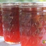 Three small jars of strawberry rhubarb jam that is a bright red color.