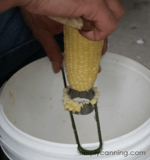 stripping corn-3