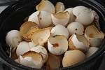 sun oven eggshells