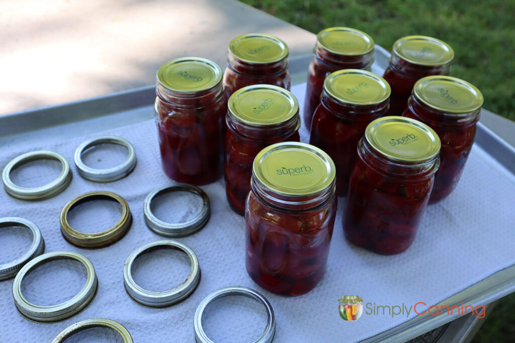 Nine jars of home canned beets with Superb Canning lids on them, all setting on a white cloth with canning rings set beside.
