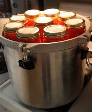 tattler canning lids pressure canner