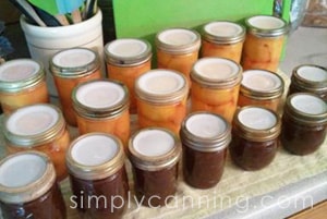 Jars of fruit and jam sealed with white Tattler lids.