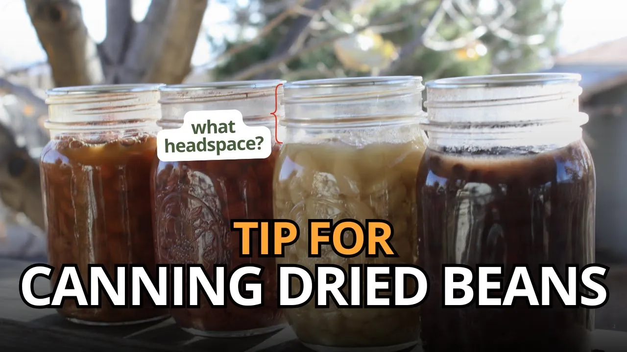 tip for canning dried beans