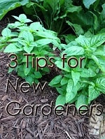 tips for new gardeners