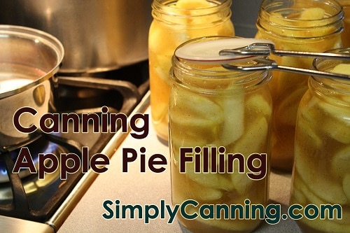 Using tongs to place a reusable canning lid on a jar of apple pie filling. 