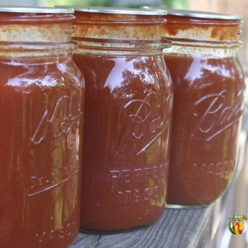 Three canning jars of tomato sauce lined up next to each other outdoors.