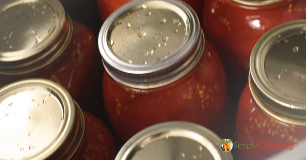 Hot jars of tomatoes packed inside the canner.