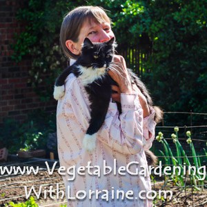 vegetable gardening with lorraine