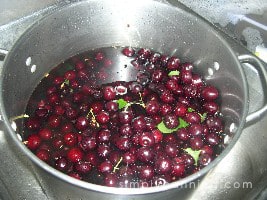 Deep red cherries and a few cherry leaves floating in a pot of water.