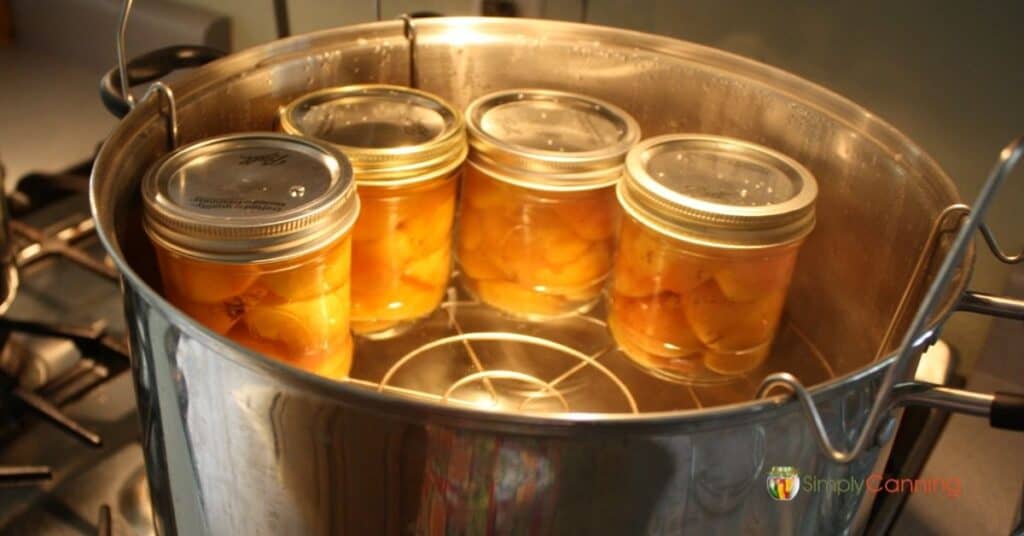 Jars of fruit in the water bath canner.
